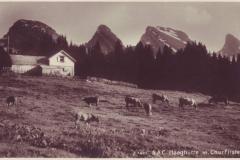 Haghütte Clubhütte SAC, mit Churfirsten, um 1930. Aufnahme und Verlag von Hans Gross, St. Gallen, Nr. 1405