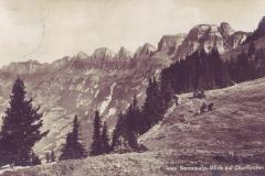 Sennisalp: Blick auf Churfirsten, Poststempel von 1916. Aufnahme und Verlag von Max Frei, St. Gallen, Nr. 4016