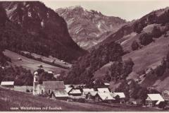 Weisstannen mit Foostock um 1935. Aufnahme und Verlag von Hans Gross, St. Gallen, Nr. 10684